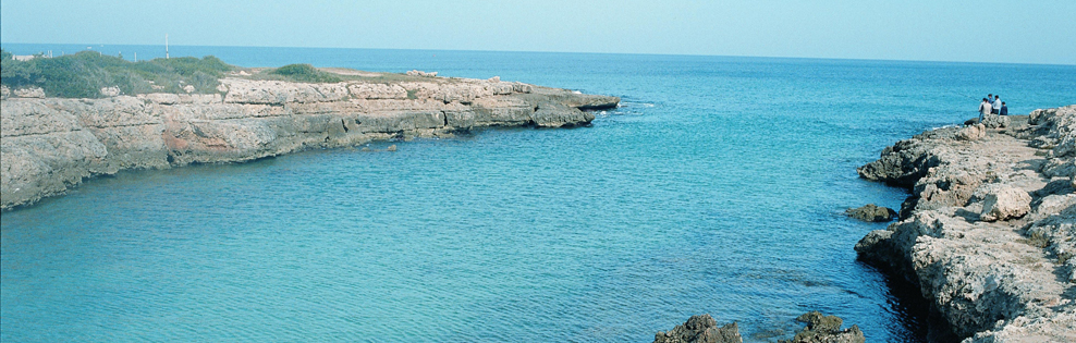 Viaggi e vacanze Monopoli