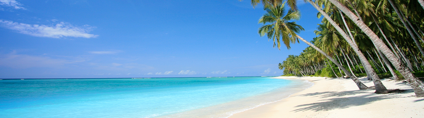 Last Minute Repubblica Dominicana